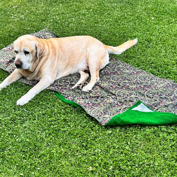 Rug & Mat – PUEBCO ONLINE STORE