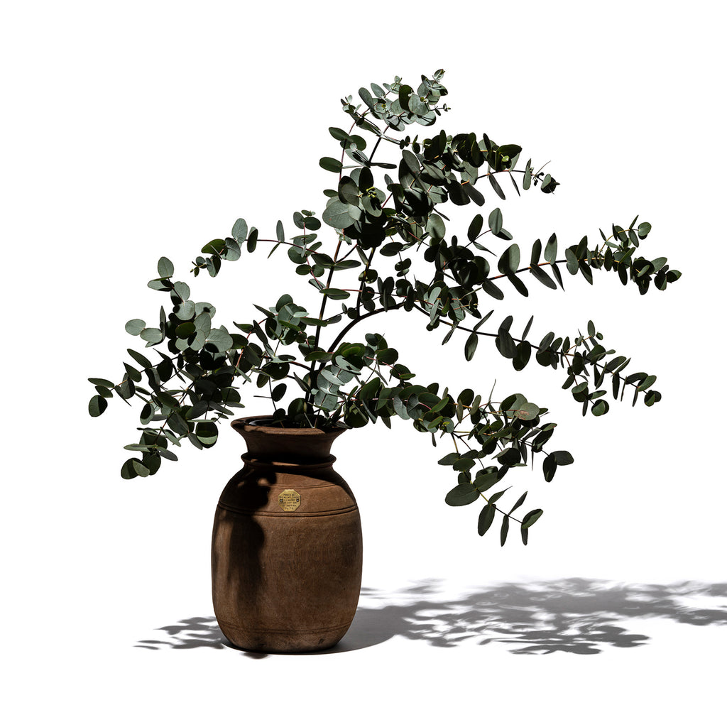 VINTAGE WOODEN POT W/GLASS CYLINDER – PUEBCO ONLINE STORE