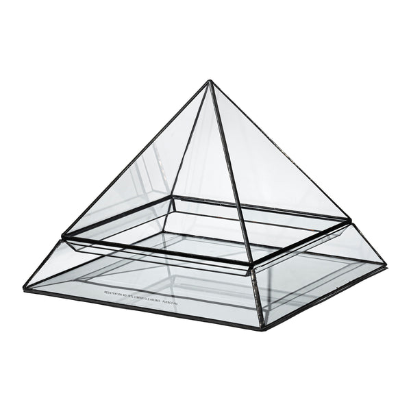 STAINED GLASS PLANT DISPLAY