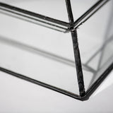 STAINED GLASS PLANT DISPLAY