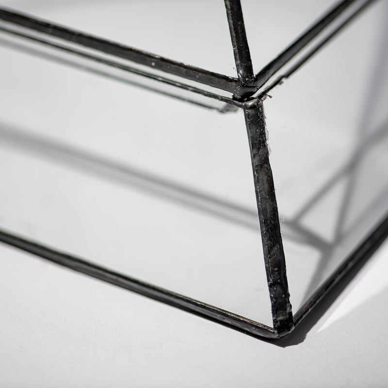 STAINED GLASS PLANT DISPLAY