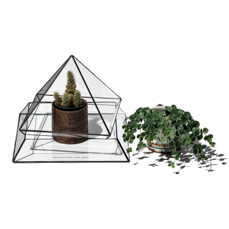 STAINED GLASS PLANT DISPLAY