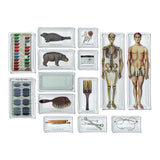 PRINTED GLASS TRAY / Key