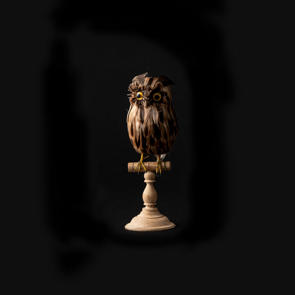 ARTIFICIAL BIRDS Owl Brown / Small – PUEBCO ONLINE STORE 