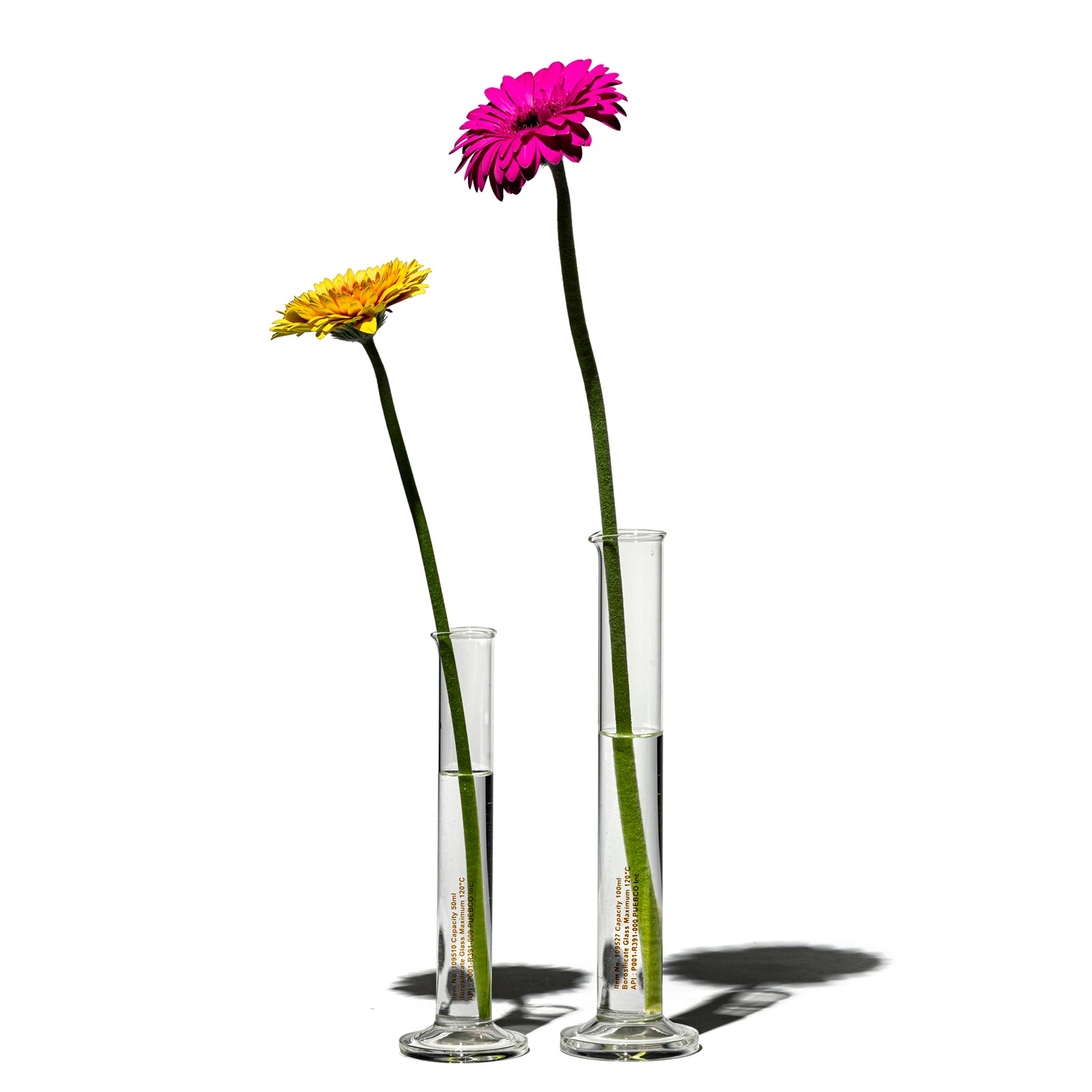 SINGLE FLOWER VASE 50ml – PUEBCO ONLINE STORE