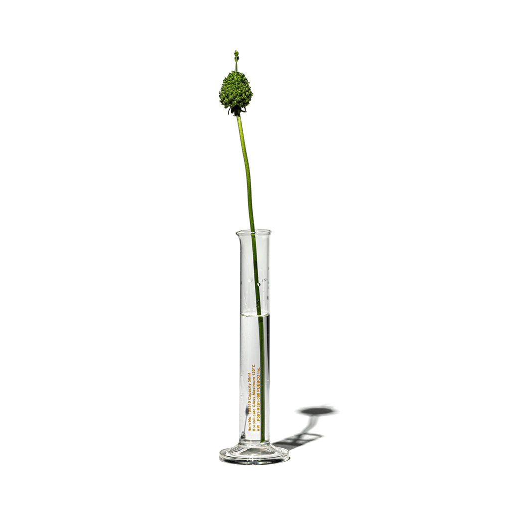 SINGLE FLOWER VASE / 50ml – PUEBCO ONLINE STORE